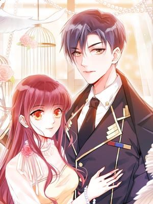 盛世甜宠：易少的小萌妻